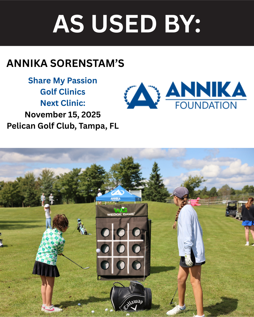 Short game net used by Annika Sorenstams ANNIKA Foundation